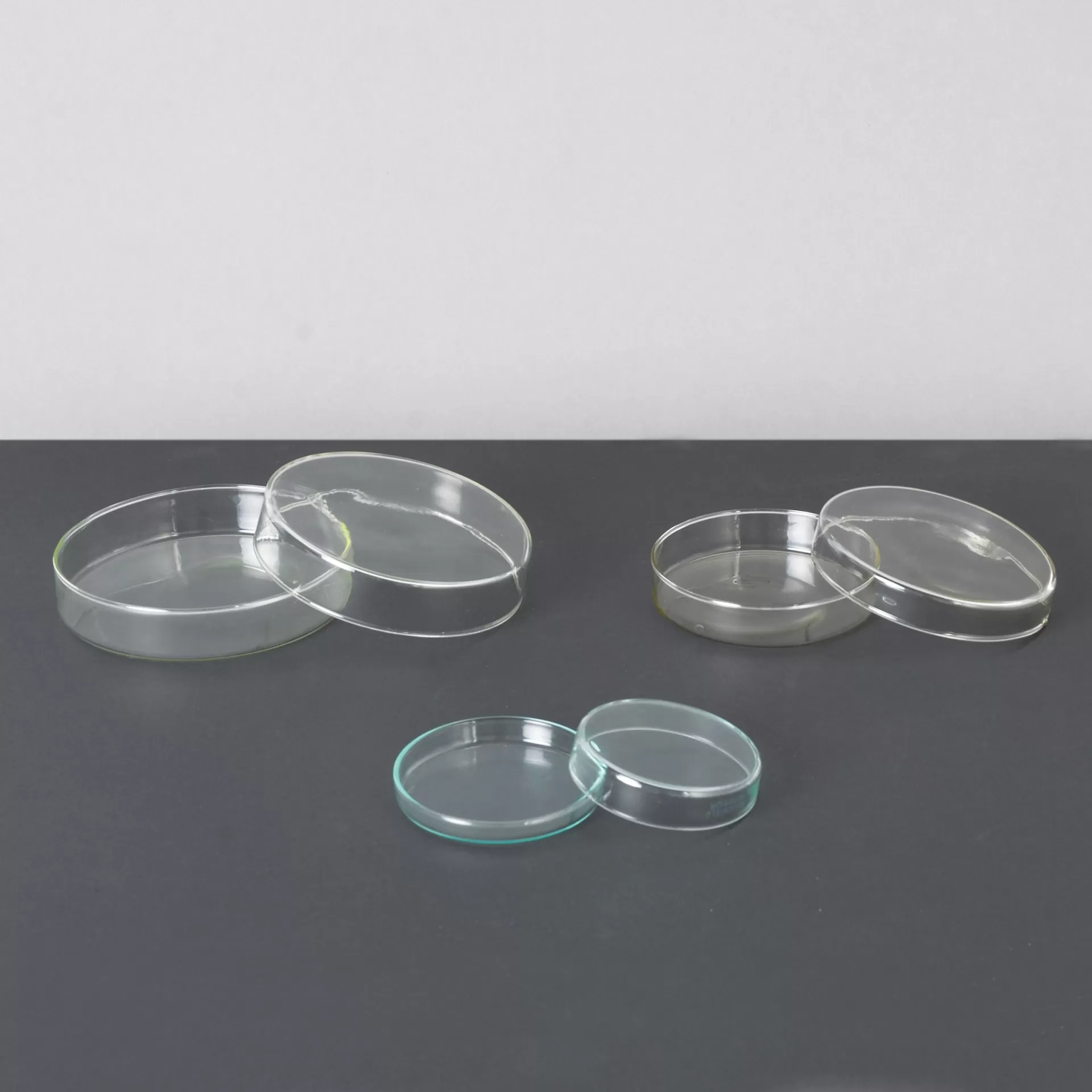 Petri Dish